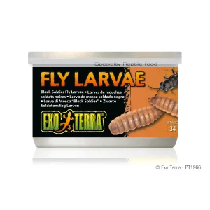 exo terra canned black solider fly larvae.webp