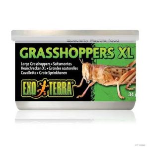 exo terra canned grasshoppers.jpg
