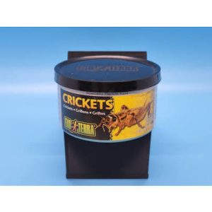 exo terra crickets.jpg