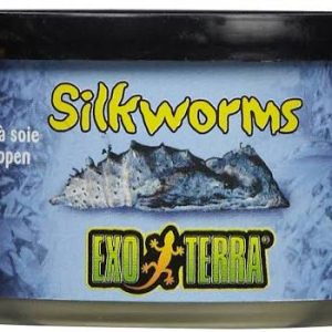 exo terra silkworms pupae.jpg