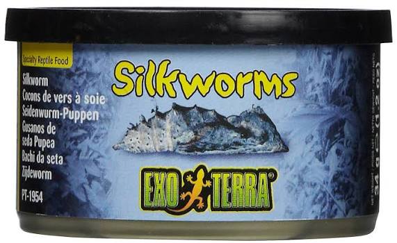 exo terra silkworms pupae.jpg exo terra silkworms pupae.jpg