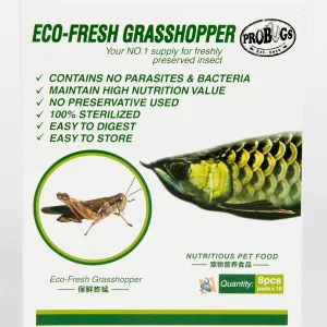 pro bugs eco fresh grasshoppers.webp