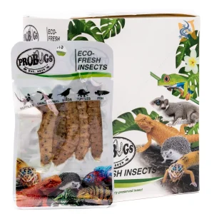 pro bugs eco fresh silkworms.webp