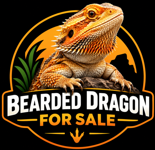 bearded dragon for sale badge
